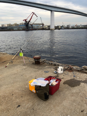 久々の釣りです❗️