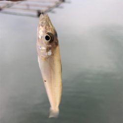 キスを求めて①