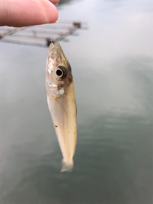 キスを求めて①