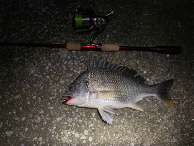 ハクボイルは難攻不落