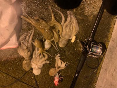 長い雨間のチャンスタイム