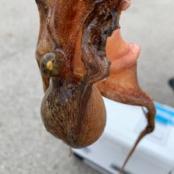 場所変更で正解!