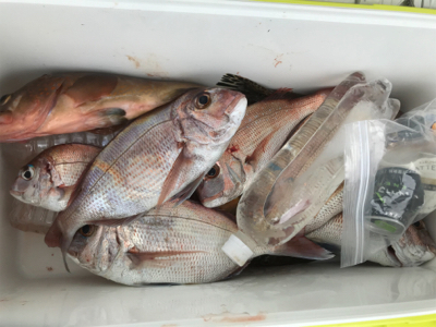 二人でのヒトツテンヤ