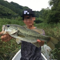 謎のボイル多発! 魚に翻弄された桜池