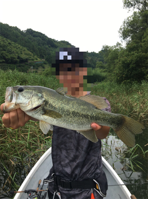 謎のボイル多発! 魚に翻弄された桜池