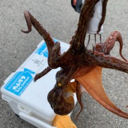 朝一、昨日の所へ！