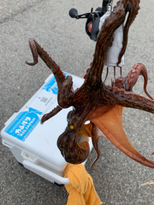 朝一、昨日の所へ！