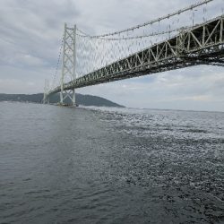 大サバは？中サバばかり…