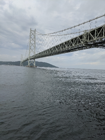 大サバは？中サバばかり…