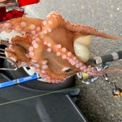 ポイント大移動！