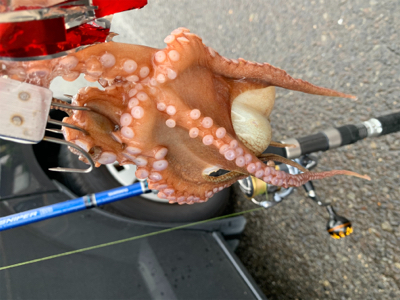 ポイント大移動！