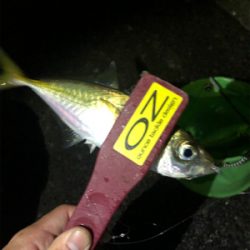 フロートアジング