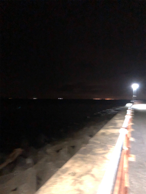 掌を超えてきました！