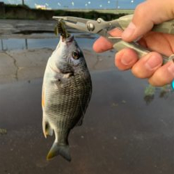 デイチニング！？