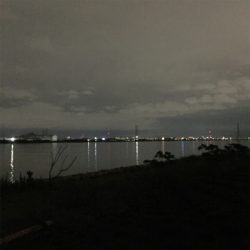 淀川ブリームゲーム