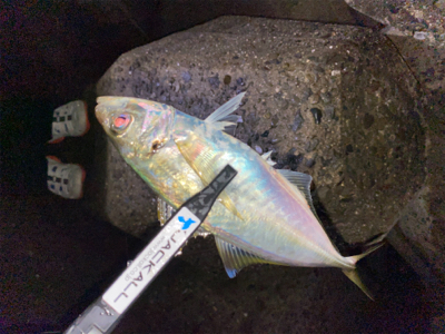 初淡路めちゃ爆超‼︎