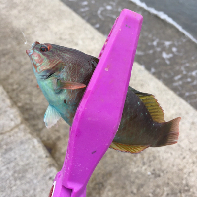 キス狙い ライトゲーム