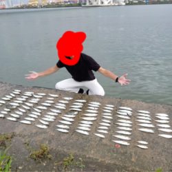 舞洲アジング(サバ祭り)