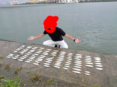 舞洲アジング(サバ祭り)