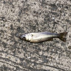 厳しい1日でした！