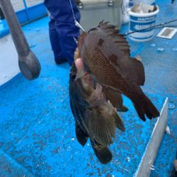 北の怪魚を求めて