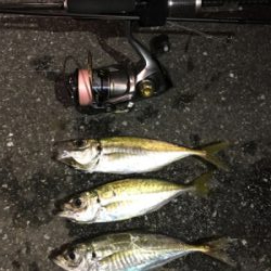 時合に間に合わず…