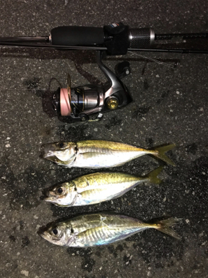 時合に間に合わず…