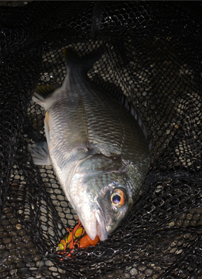 サイズがいまいち>_<