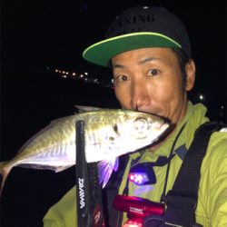 早朝アジング♪回遊あったよ！GUNNING-STYLE