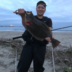 久慈川河口で小座布団GET