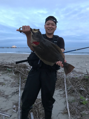 久慈川河口で小座布団GET