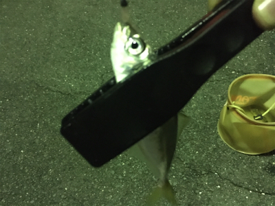 ダイソーのワームが良い