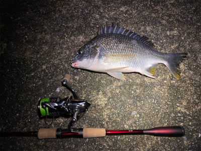 チニング  横ではハクボイル