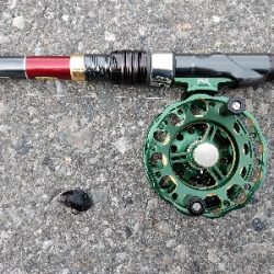 年無しゲットかと思いきや。