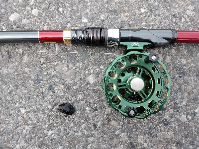 年無しゲットかと思いきや。