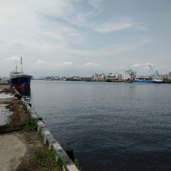 なんちゃってスライダー釣法で釣れました！