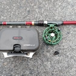 年無しに あと1cm