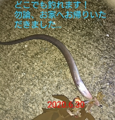 暴風＆雨は晴れ男なんでマシでしたが…