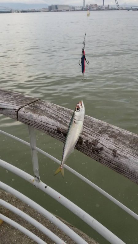 コスモで（小）サバゲー