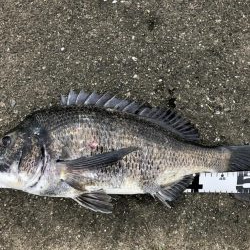 イチノ兄弟、釣果!