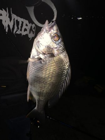 ナイトチニング！！