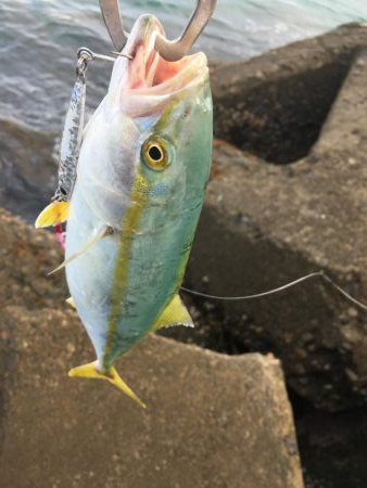 まぁ、可もなく不可もなくかな