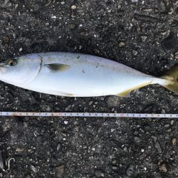 スーツバとの勝負