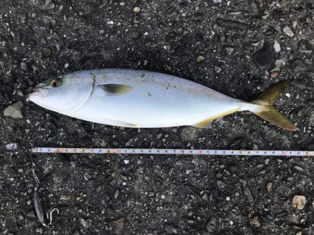 スーツバとの勝負