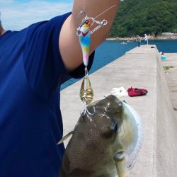 ラッキーは二度刺す