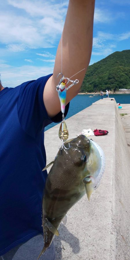 ラッキーは二度刺す