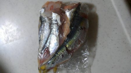 みんなで楽しく釣り