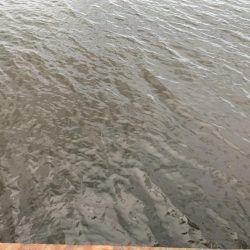 雨降り前の釣行