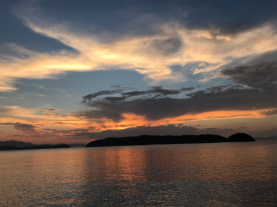 青物かと思いきや