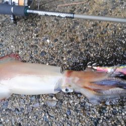 またまた、最後に・・・・?